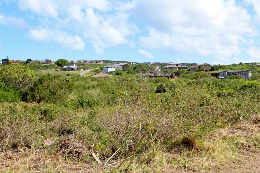 0 Bedroom Property for Sale in Forest Downs Eastern Cape